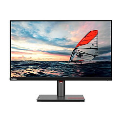 Lenovo 25" LED LCD