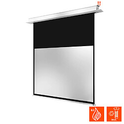 Celexon Pro Plus - 240 x 150 cm pas cher