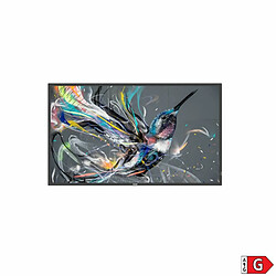 Philips 50BDL3511Q/00 - Noir