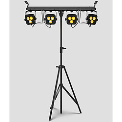 Avis Chauvet 4 BAR LTBT ILS