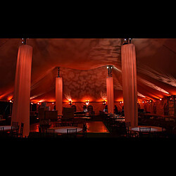 Avis Chauvet EVE F-50Z