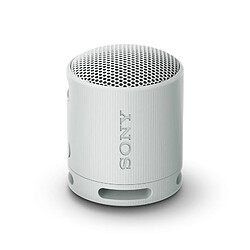 Sony SRS-XB100 - Gris
