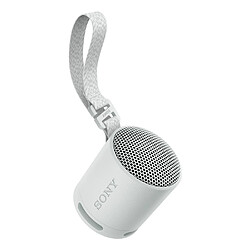 Sony SRS-XB100 - Gris