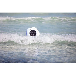 Auxon Saleccia - Blanc pas cher