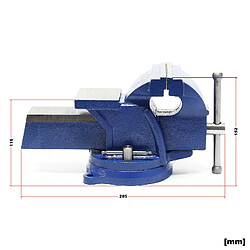 Helloshop26 Étau Heavy Duty - Mâchoire 125 mm