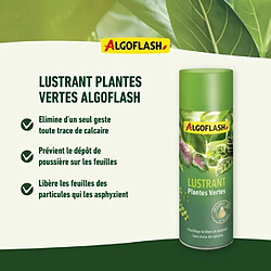 Avis Algoflash Lustrant Plantes Vertes