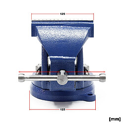 Avis Helloshop26 - Étau heavy duty - 125 mm