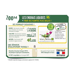 KB Engrais Rapide Orchidées - 250 mL
