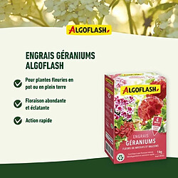 Avis Algoflash Fleurs 1kg