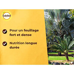 Solabiol SOPALMY15 Engrais Palmiers pas cher