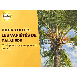 Acheter Solabiol SOPALMY15 Engrais Palmiers