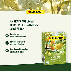 Avis Algoflash Engrais Agrumes Olivers et Palmiers - 1 kg