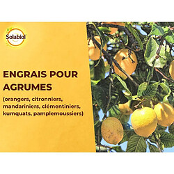 Acheter Solabiol Engrais Agrumes - 1,5 Kg