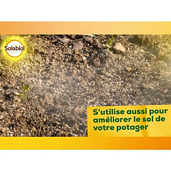 Solabiol SOCHAUX10