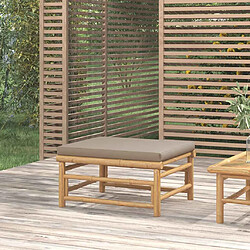 VIDAXL Repose-pieds de jardin - Taupe