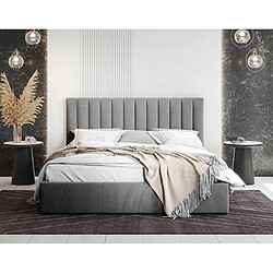 Bestmobilier Rosario Lit Coffre 160x200 Velours Gris pas cher