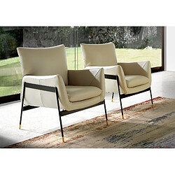 Avis Angel Cerda Fauteuil en cuir gris perle