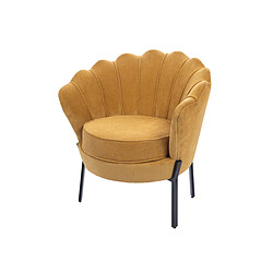 Fauteuil Amadeus