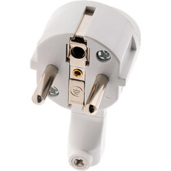 Zenitech Fiche mâle extraplate 2P+T - Blanc
