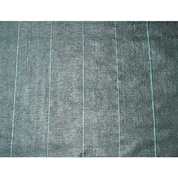 Nature Bâche de sol 2x5 m - Noir