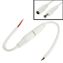 Wewoo Connecteur DC 2.1mm Femelle à Mâle - 20cm