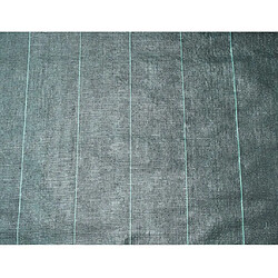 Nature Bâche de sol de contrôle des mauvaises herbes 4,2x5 m - Noir