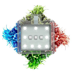 Avis MARSHALL Ciano CLA 20 Universal LED