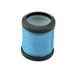 Hoover filtre d’aspirateur balai Freedom T113
