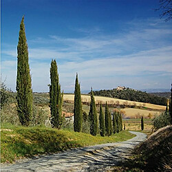 Walimex Polarisant Circulaire 43 mm