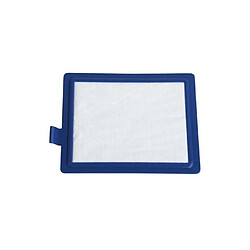 Electrolux Filtre d’évacuation pour aspirateur Filtre pour aspirateur - Compatibilité modèle 118007201 - Type HEPA - Réf. 9000843061 - Matériau plastique