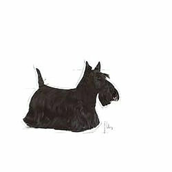 Friandise pour chien