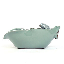 Fontaine Céramique Grenouille 1.2L