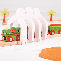 Acheter Bigjigs rail Train de dinosaures en bois