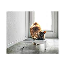 Gamelle pour chat