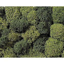 Noch Mousse Vert Clair