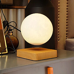 Acheter MAGNETICLAND MoonFlight