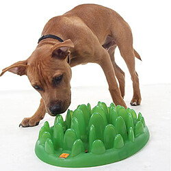 Gamelle pour chien