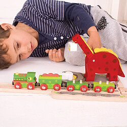 Bigjigs rail grue ferroviaire dinosaures pas cher