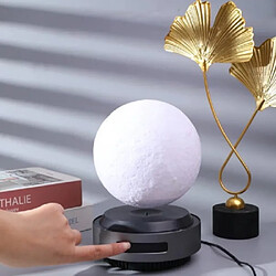 Avis Magneticland Moonflight