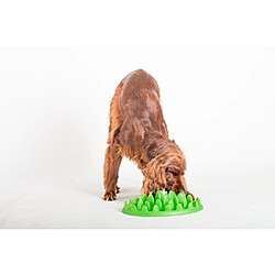 Gamelle interactive pour chien Northmate Green Mini - 29 x 22,5 x 7 cm - Vert pas cher