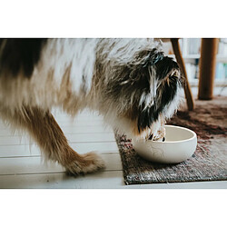 Acheter Hunter Gamelle pour chien en céramique et silicone - 1,5 L