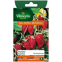 Vilmorin Fraisier des 4 Saisons Supreme