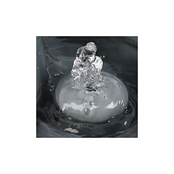 Avis Eyenimal Fontaine Eau - 1.5L