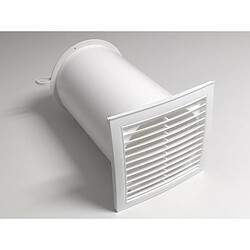 Graine de fleur & potager