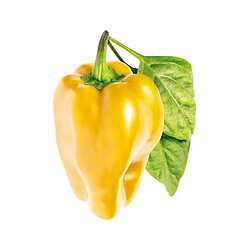 Click & Grow Poivron Smart Garden