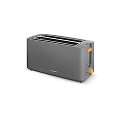 Schneider SCTON2LG - Gris