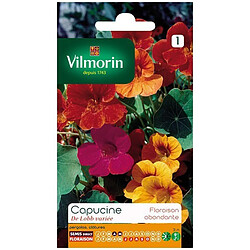 Vilmorin Capucine DE LOBB Variée