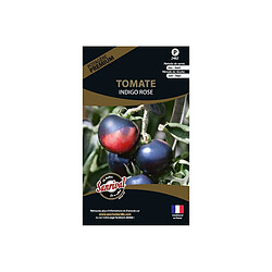 SANRIVAL tomate Indigo rose Graines potagères - Récolte de juin à septembre - Semis de février à avril