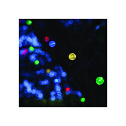 Lumisky Guirlande Festy COLORS - Multicolore pas cher