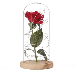 Wewoo guirlande fleurs LED - Marron pas cher